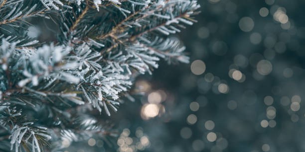 Einen frohen Advent wünscht der Fachbereich Musik